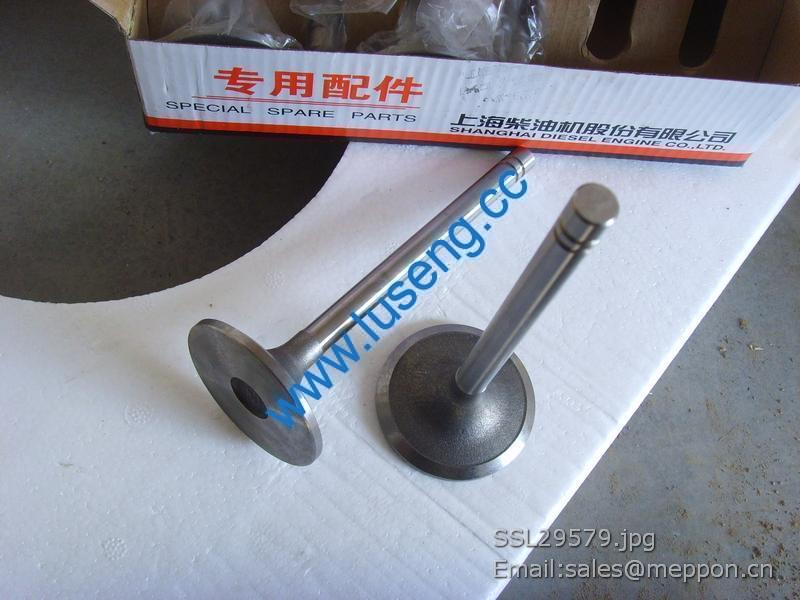 6N9915 Intake valve XG955II 4110000186106 SP101599 W014200351 4190000536067