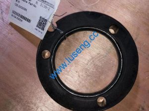 W-04-00004 Ring CHANGLIN