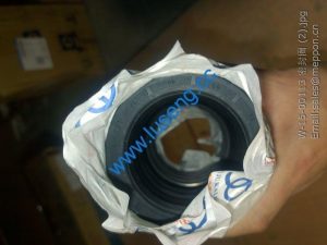 W-15-00113 Oil seal CHANGLIN