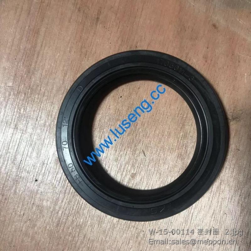 W-15-00114 seal ring changlin