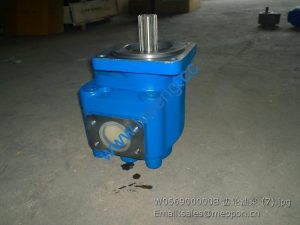 W066900000B SEM GEAR PUMP