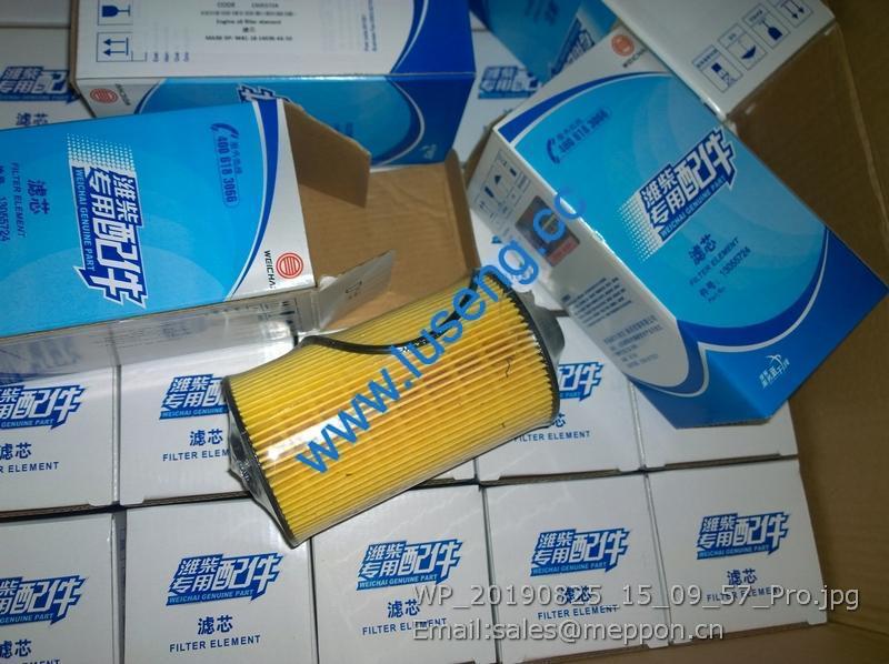 13055724 WEICHAI FILTER 4110001948041 53C0859