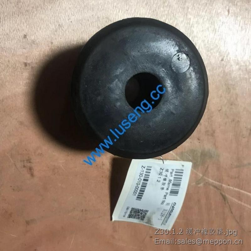 Z30.1.2 Cushion CHANGLIN PARTS