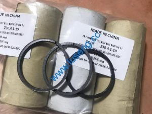 Z30.4.1-19 OIL SEAL changlin wheel loader