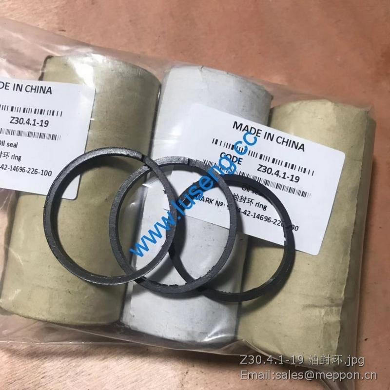 Z30.4.1-19 OIL SEAL changlin wheel loader