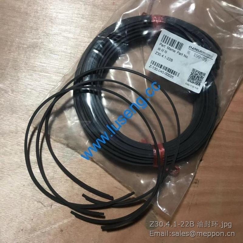 Z30.4.1-22B OIL SEAL CHANGLIN