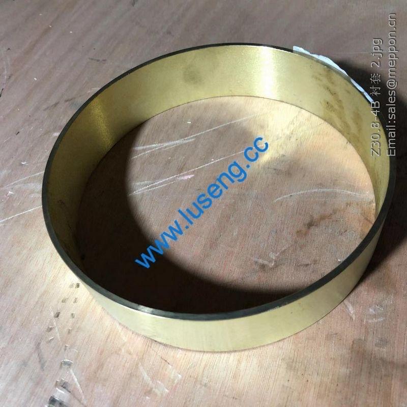 Z30.8-4B Sleeve changlin