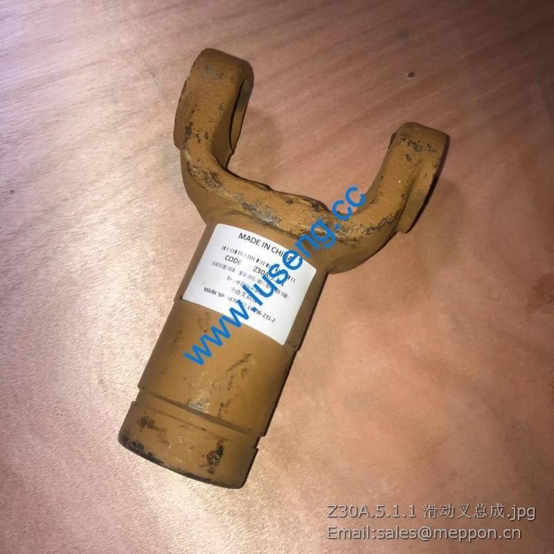 Z30A.5.1.1 Slide fork ass’y changlin