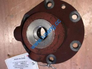 Z30E.4.1-6 Cover changlin