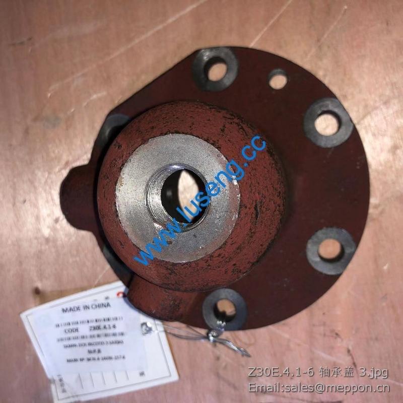 Z30E.4.1-6 Cover changlin