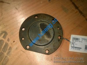 Z30E.4.3-1 Cover changlin