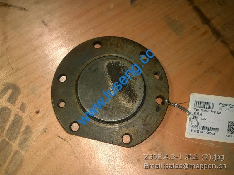 Z30E.4.3-1 Cover changlin
