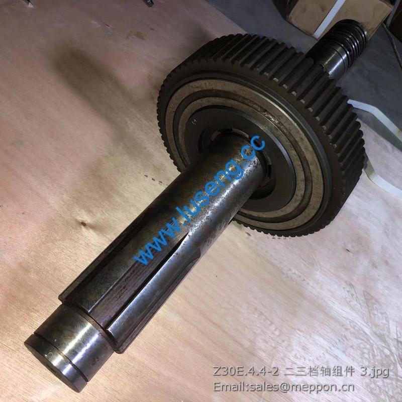 Z30E.4.4-2 Shaft changlin