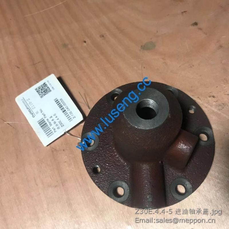Z30E.4.4-5 Cover CHANGLIN
