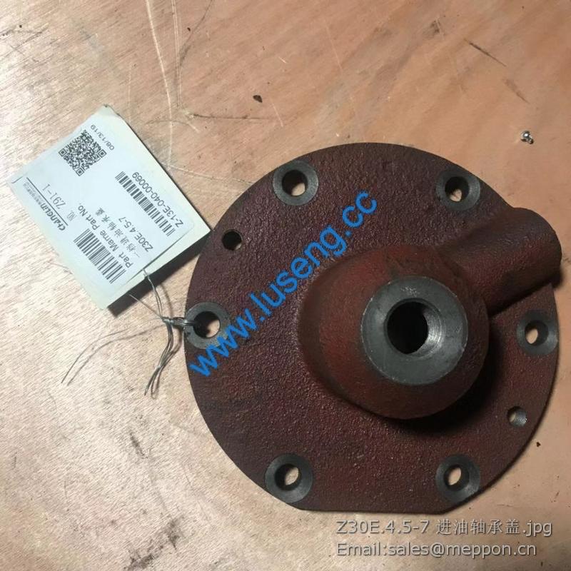 Z30E.4.5-7 Cover changlin