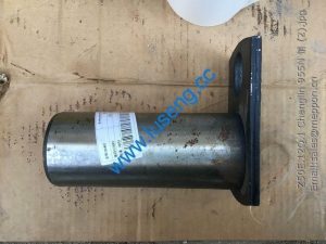 Z50E.12Q.1 Changlin 955N pin