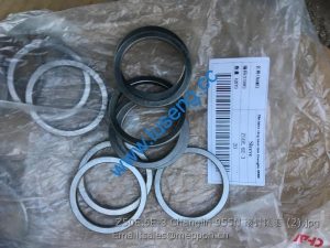 Z50E.6E-3 Changlin 955N sleeve