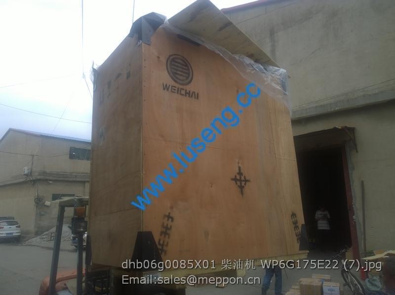 dhb06g0085X01 WEICHAI ENGINE AS WP6G175E22