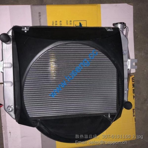 30T-0101100 radiator assembly 30001016303 LG20DTIII-35DTIII lonking forklift