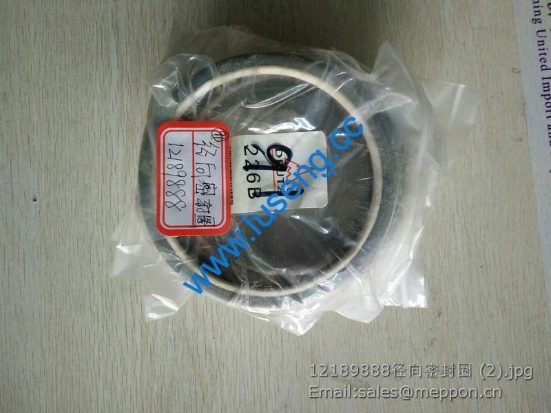12189888 weichai oil seal