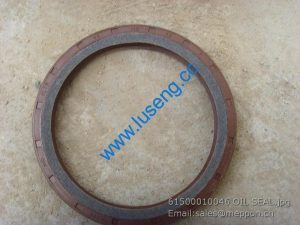 61500010046 OIL SEAL weichai 860112056 SP101954