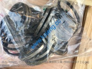 B-G10708C-00006 Changlin 955N OIL SEAL FB80X90X7