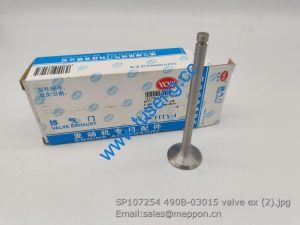 SP107254 490B-03015 valve ex XINCHAI PARTS