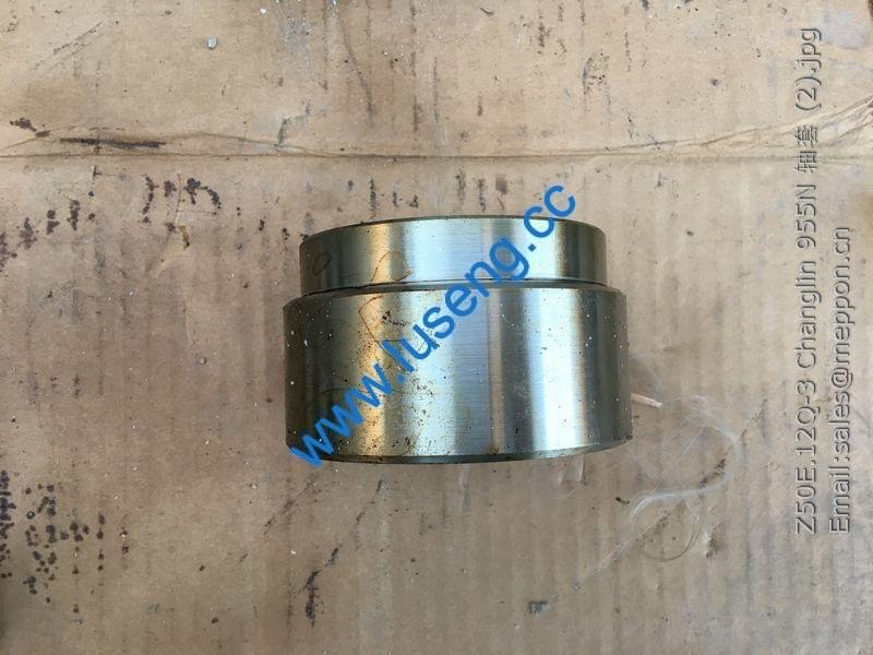Z50E.12Q-3 Changlin 955N BUSHING
