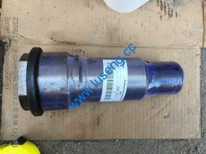 Z50E.12Q.2 Changlin 955N PIN