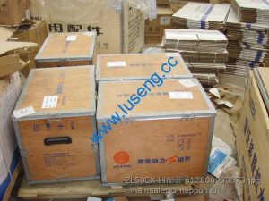 ZL50EX CYLINDER KITS 612600900073 LONKING WEICHAI