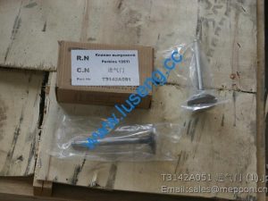 Т3142A051 LOVOL PERKINS PARTS VALVE IN