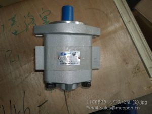 11C0533 liugong forklift gear pump CBK-G427-AF