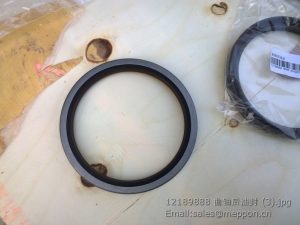 12189888 weichai oil seal