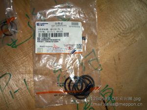 12B0198 O-RING LIUGONG