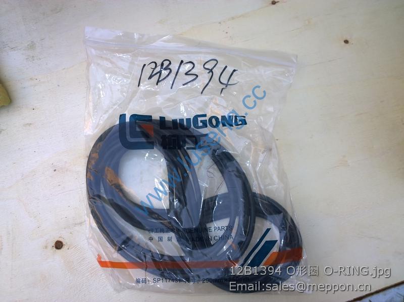 12B1394 O-RING LIUGONG