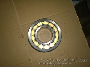 145-27-41231 20B0187 BEARING