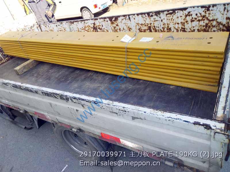 29170039971 SDLG PLATE