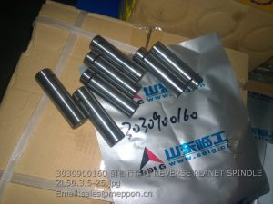 3030900160 REVERSE PLANET SPINDLE ZL50.3.5-25
