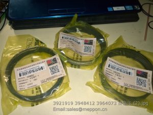 3921919 3948412 3964073 PISTON RING CUMMINS