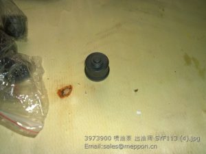 3973900 valve for fuel injection pump SYF113