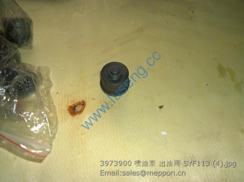 3973900 valve for fuel injection pump SYF113
