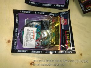 3973900 fuel injection pump repair kits PW2000(B)