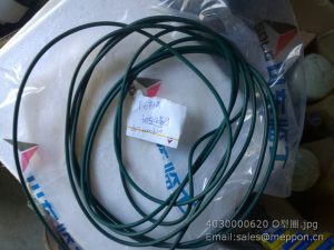 4030000620 SDLG O-RING