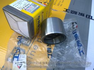 4043000218 SDLG LGB302-60x58A2 BUSH