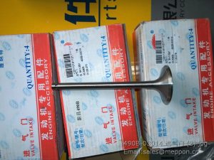 490B-03014 valve in xinchai