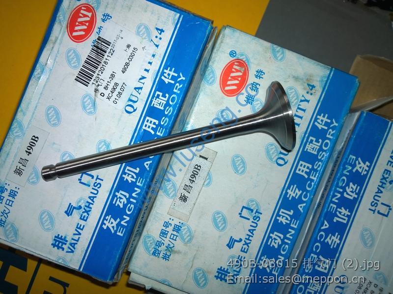 490B-03015 XINCHAI VALVE EX