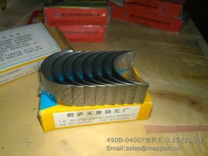 490B-04007 ROD BEARING 0.25