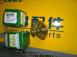 490B-43002 B65AH-76-M100 THERMOSTAT
