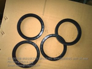 53100038 860106785 SP105582 W440020095 oil seal FB100X125X12