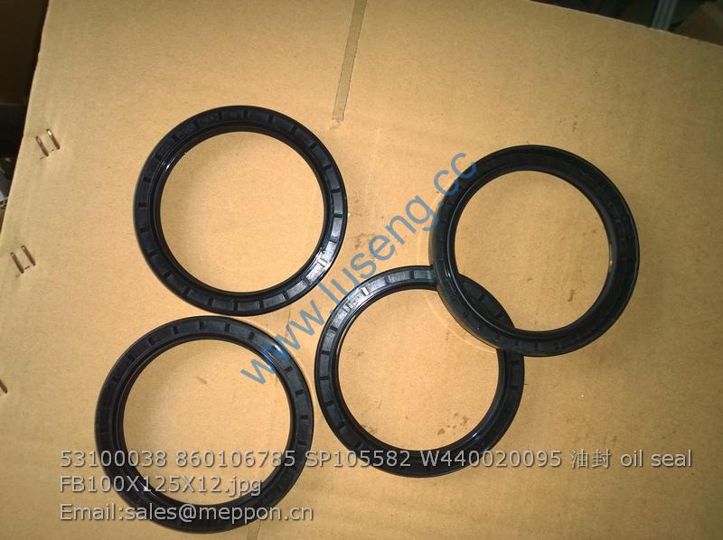 53100038 860106785 SP105582 W440020095 oil seal FB100X125X12
